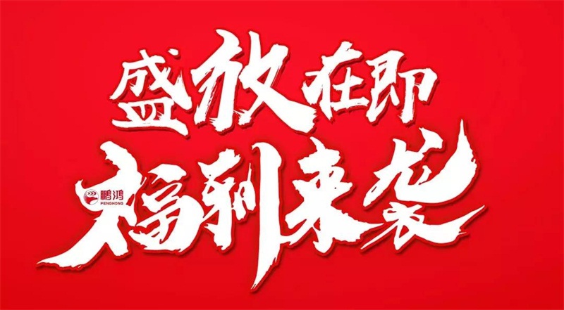 再拓疆域！鵬鴻We+定制&紅星美凱龍聯(lián)袂亮相烏魯木齊