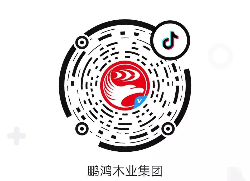 這廂有禮丨這個(gè)春節(jié)我最鴻，抖音相伴幸福年